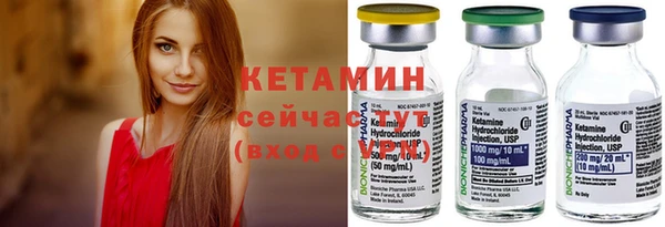 сатива Ельня