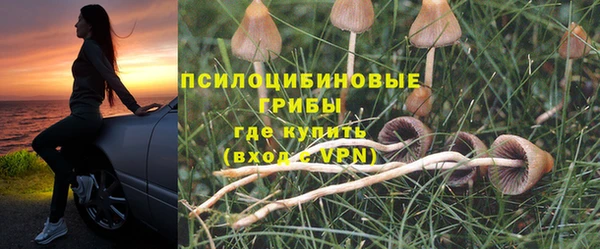 бошки Абдулино