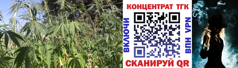 ТГК Wax  наркота  мега ссылки  Вологда 