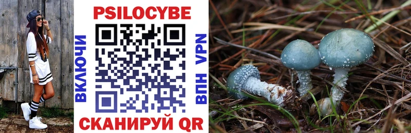 Галлюциногенные грибы Cubensis где найти Вологда